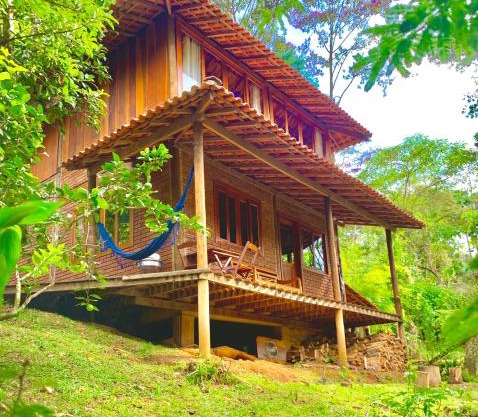 Casa Araucária 2