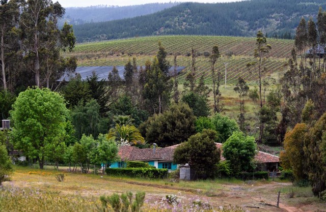 Casa Azul de San Pancho