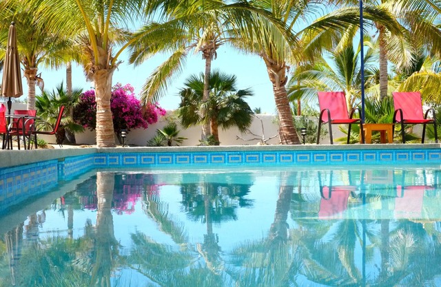 Casa Carolina's A Beautiful Beach House Surrounded By Palm Trees & Flowers.