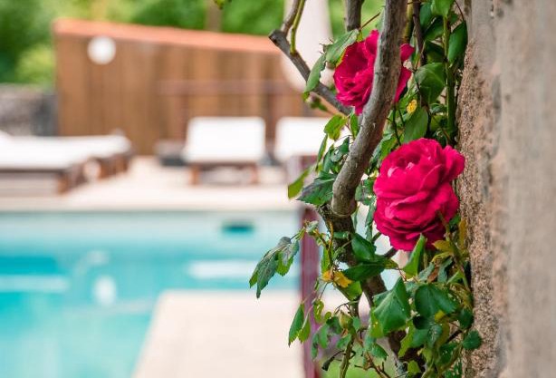 Casa da Várzea - Serra da Estrela