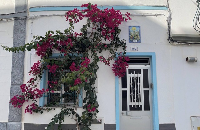 Casa das irmas. Typical Algarvian house in the center of town.