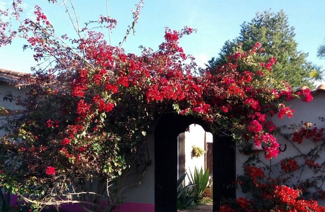 Casa de Campo Loma Amarilla