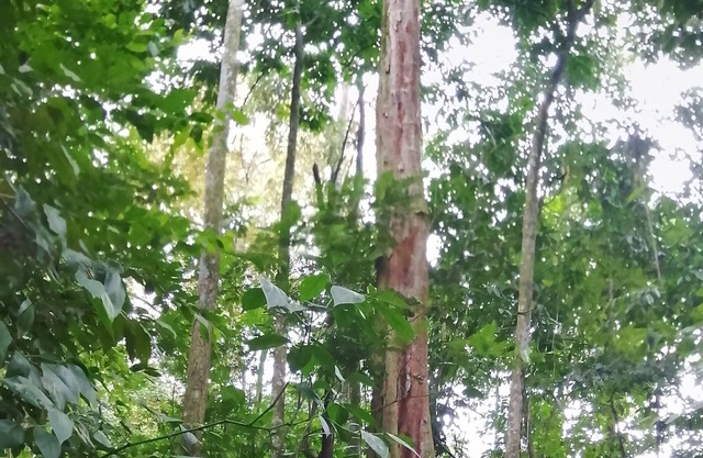 Casa de Montaña Ideal Para Nomadas Digitales