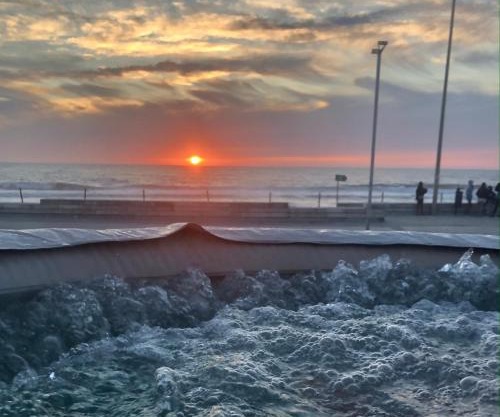 Casa do Cão da Praia do Furadouro