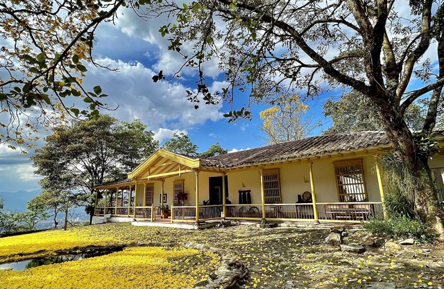 casa finca la palmera
