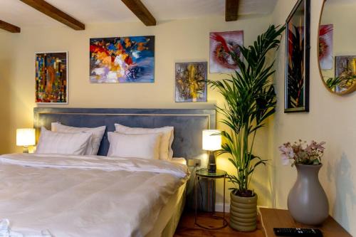 Casa Joy Sighisoara
