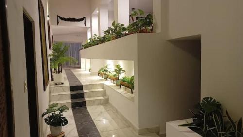 Casa Marcy, casa nueva con alberca y tres recamaras