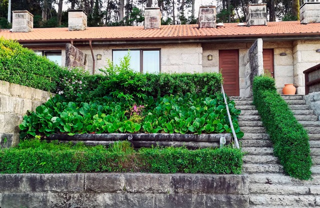 Casa Nogueira - Minho's Guest