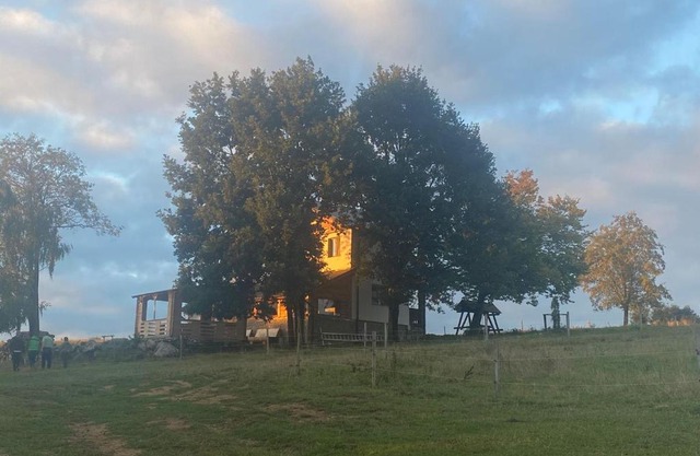 Casa Piscul verde Vladeni