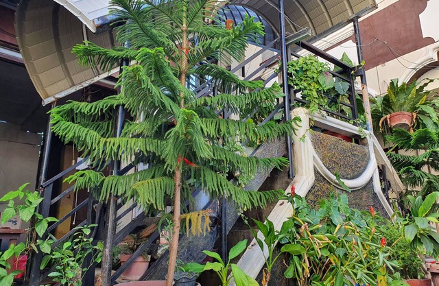 Casa Sarmiento Travelers Inn