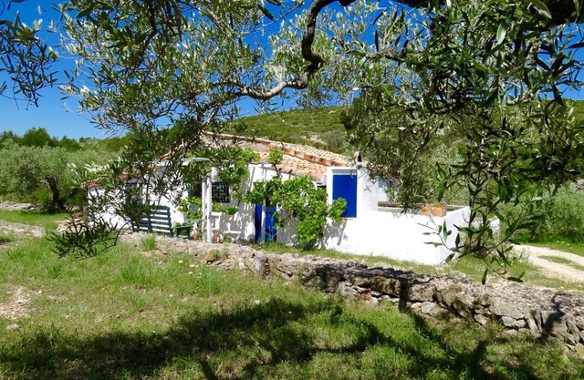 Casita Blanca