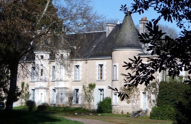 Castle close family Loire castles, 18 people, swimming pool/tennis