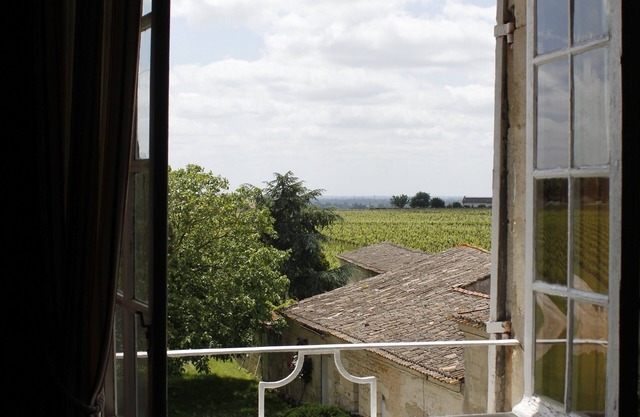 Castle life in the middle of the vineyards Swedish room