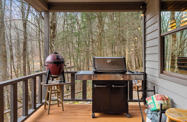 Cedar Knoll - Secluded w/hot tub - Toccoa River Access - Dog-Friendly