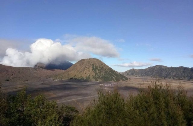 Cemara Lawang Homestay2