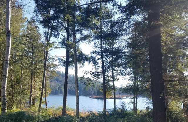 Central Adirondack Lakefront Solar Cabin