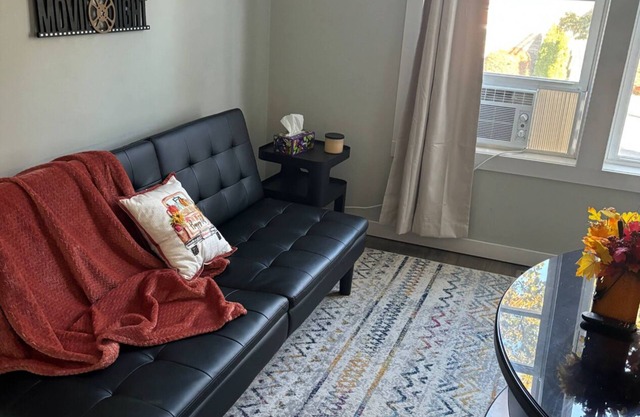 Central and Stylish 1-bedroom apartment with WiFi in Charming Oswego