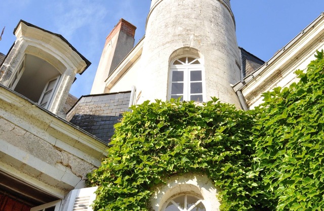 Château du Plessis - Anjou