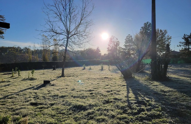 Chalet Salon Cuisine, 1 Chambre sdb sur Terrain Arboré de 5000m2, Parking Privé