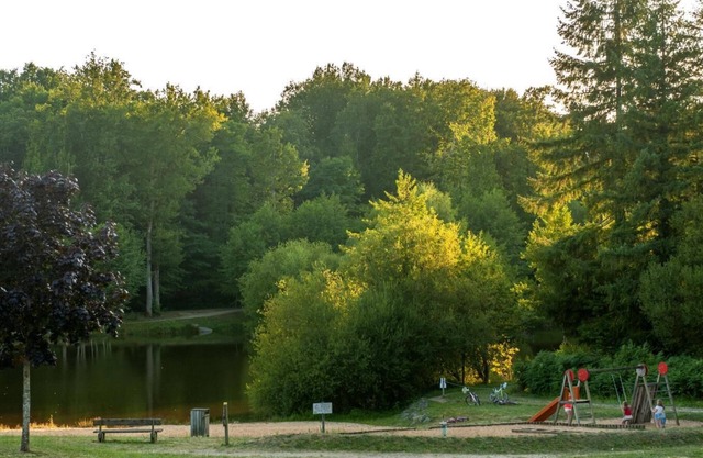 Chalet, terrace, 55m², Ile de Ré