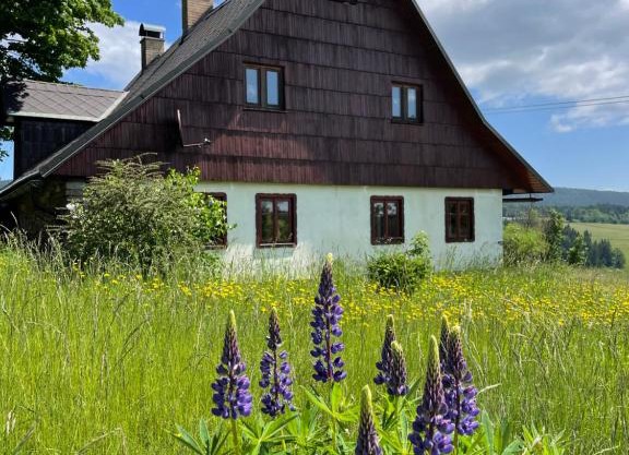 Chalupa u kapličky Říčky v Orlických horách