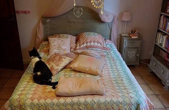 Chambre d 'hôte Romantique a Coté D'avignon