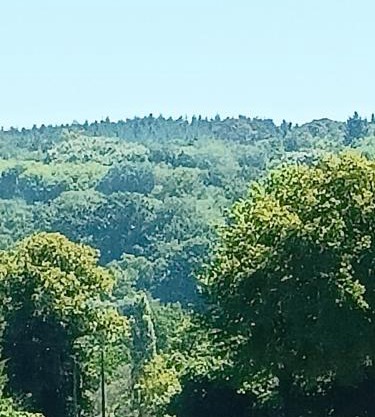 Chambre d'hôtes indépendante à la campagne