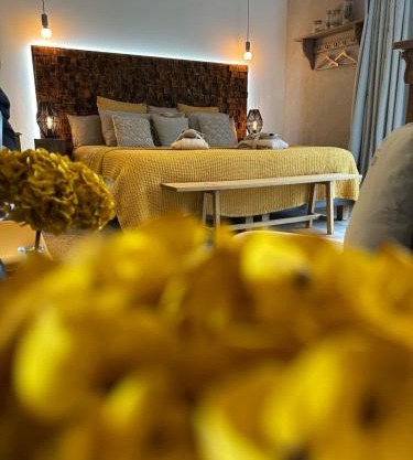 Chambre Tuffeau "Belle An Pierre chambres d hôtes & spa"