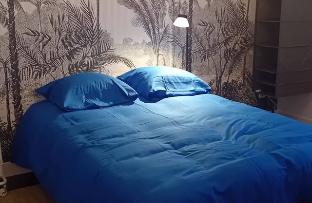 Chambre2 privée Cosy et Fonctionnelle Haute Gamme Vue sur Château +Jardin Patio.