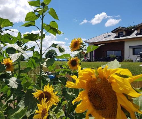 Chambres d'hôtes La Ganivelle