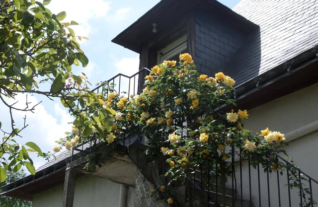 Chambres d'Hotes Du Haut Anjou