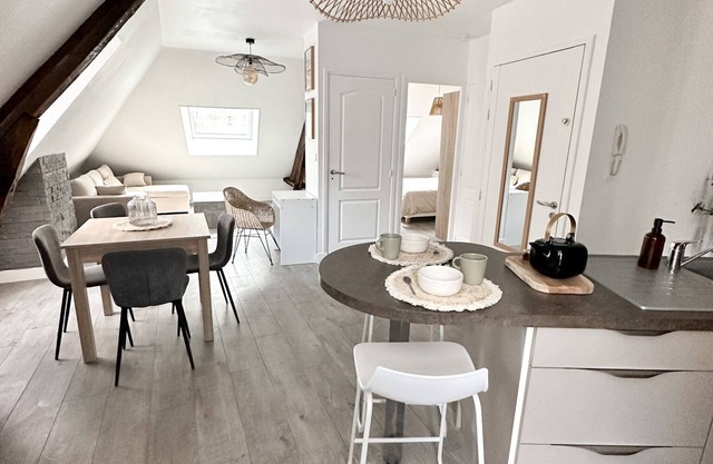 Charmant Duplex Dans L'hyper Centre-ville de Brive-la-gaillarde, Refait à Neuf !