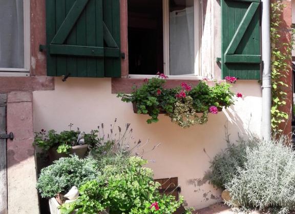 charmant petit appartement en Alsace