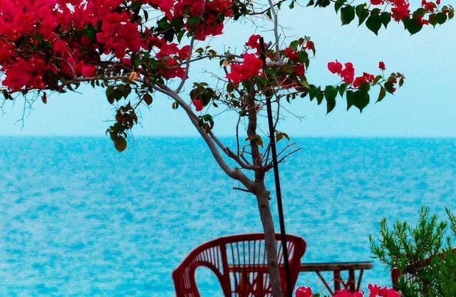 CHARMED COTTAGE IN A PRIVATE OASIS OVERLOOKING AN UNSPOILED COVE