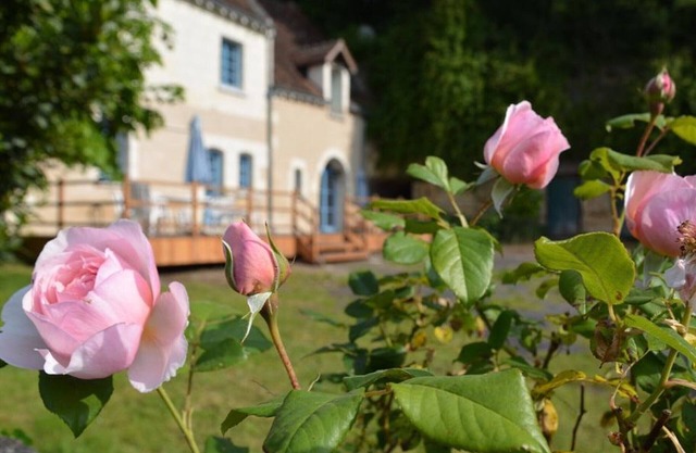 Charming 1840 Cottage with Garden, Near Loches & Loire Castles – Family & Pet Friendly