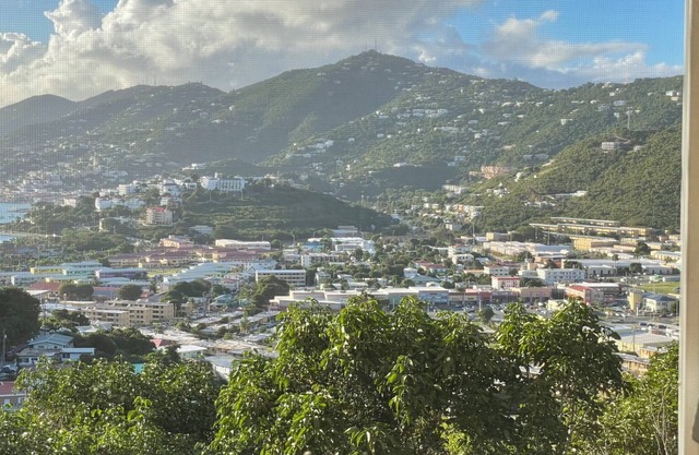 Charming 2-bedroom condo with WiFi, AC in brilliant St Thomas