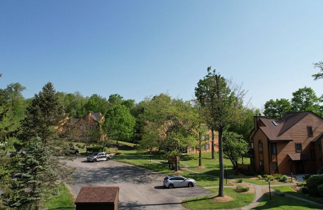 Charming 3BD Condo Mt Retreat Near Seven Springs