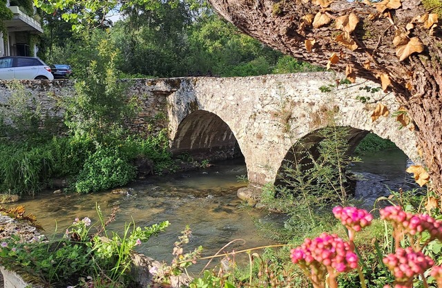 Charming 6-bedroom water mill on the banks of the Indre River in serene Courçay