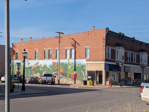 Charming Apartments in the Heart of Robinson