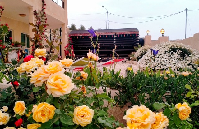 Charming bed & breakfast in marvelous Wadi Musa with breakfast included