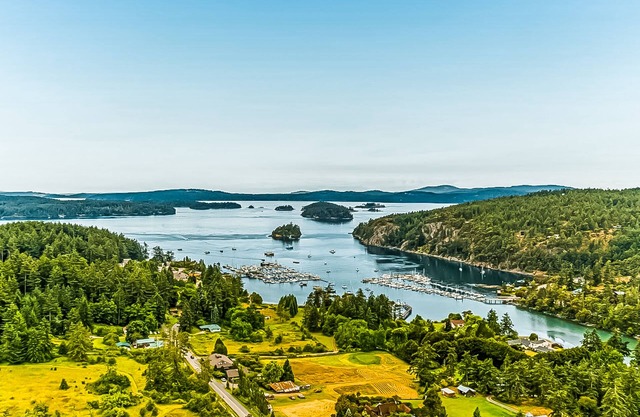 Charming cabin with private hot tub & ocean view- near everything in Deer Harbor