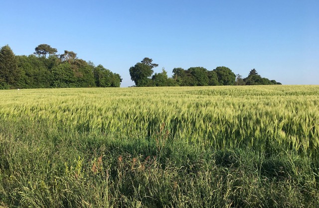 Charming cottage in the heart of the countryside