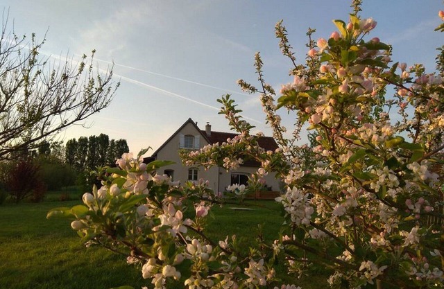 Charming house in the heart of the castles of the Loire in Villandry