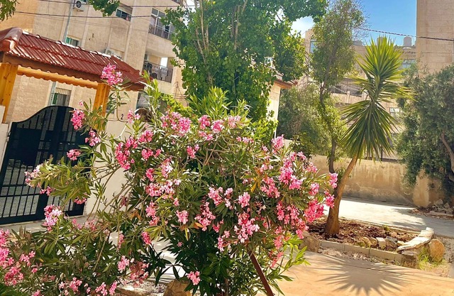 Charming house with AC in enchanting Irbid