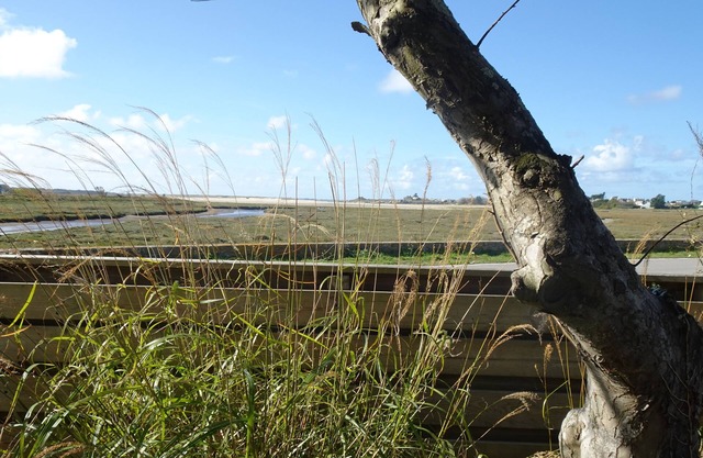 Charming house with sea view