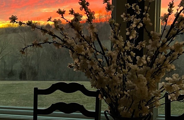 Charming Kentucky RanchnSharpsburg Ky