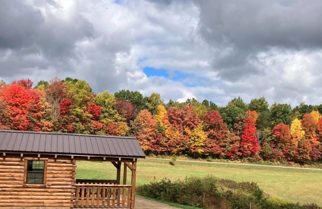 Charming one-room cabin retreat with private bath, kitchenette and log gazebo.