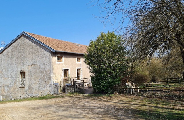 Charming Renovated Mill with Trout Fishing, Near Metz and Nancy