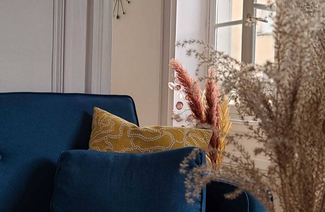 Chez Aristide, 3 to 7 ppl flat ideally located in Auxerre city center.