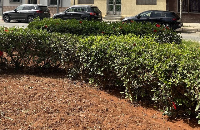 Chez Dida large 200m2 apartment by the sea